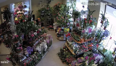 Kwiaciarnia Henryka Momot